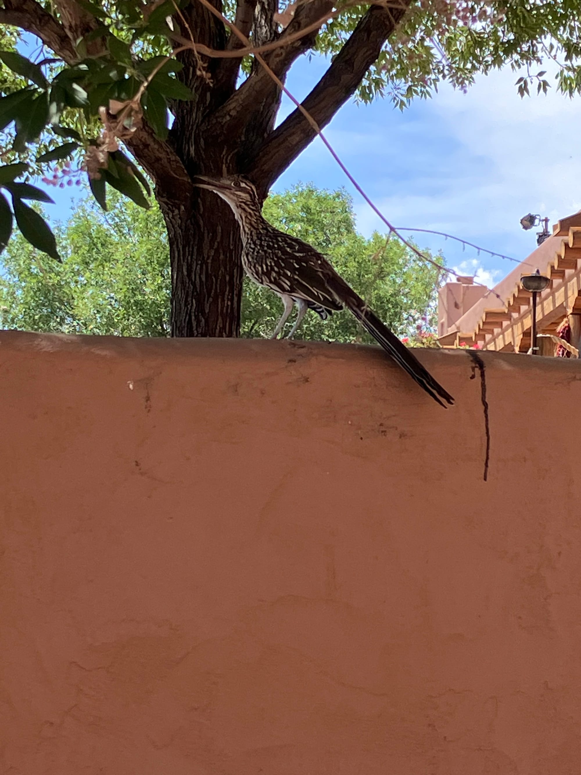 things i think about while powerwashing 138