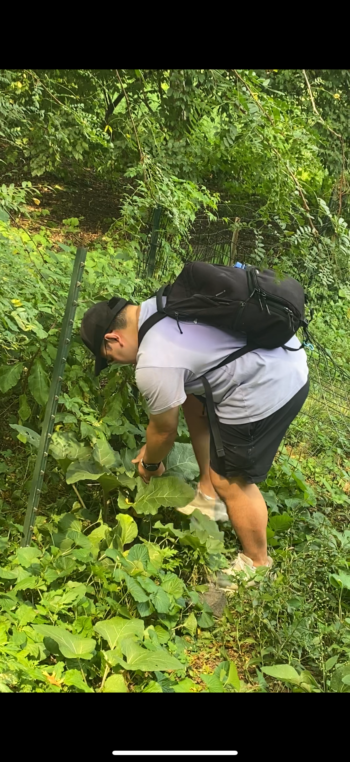 things i think about while powerwashing 138