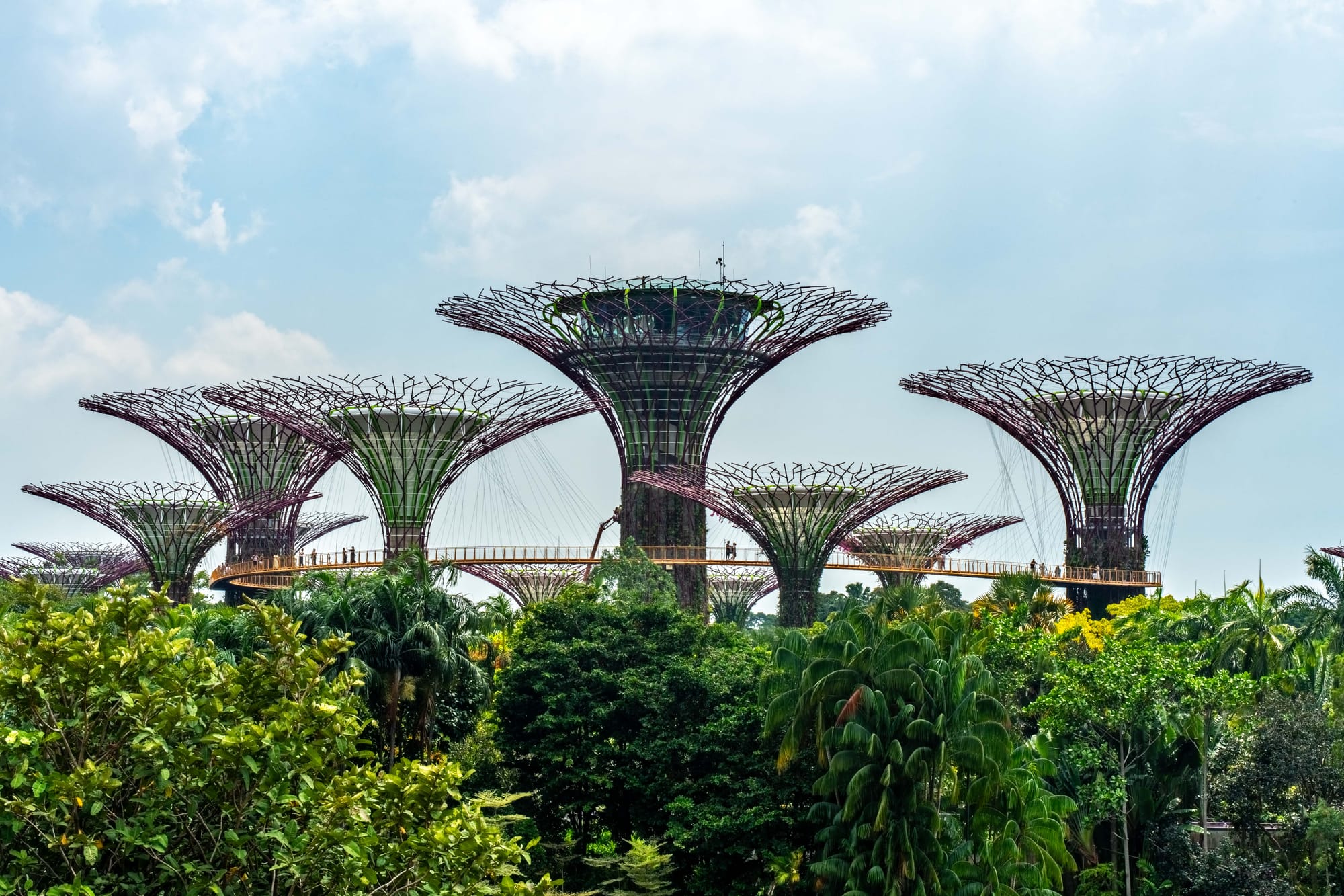 notes from singapura 3