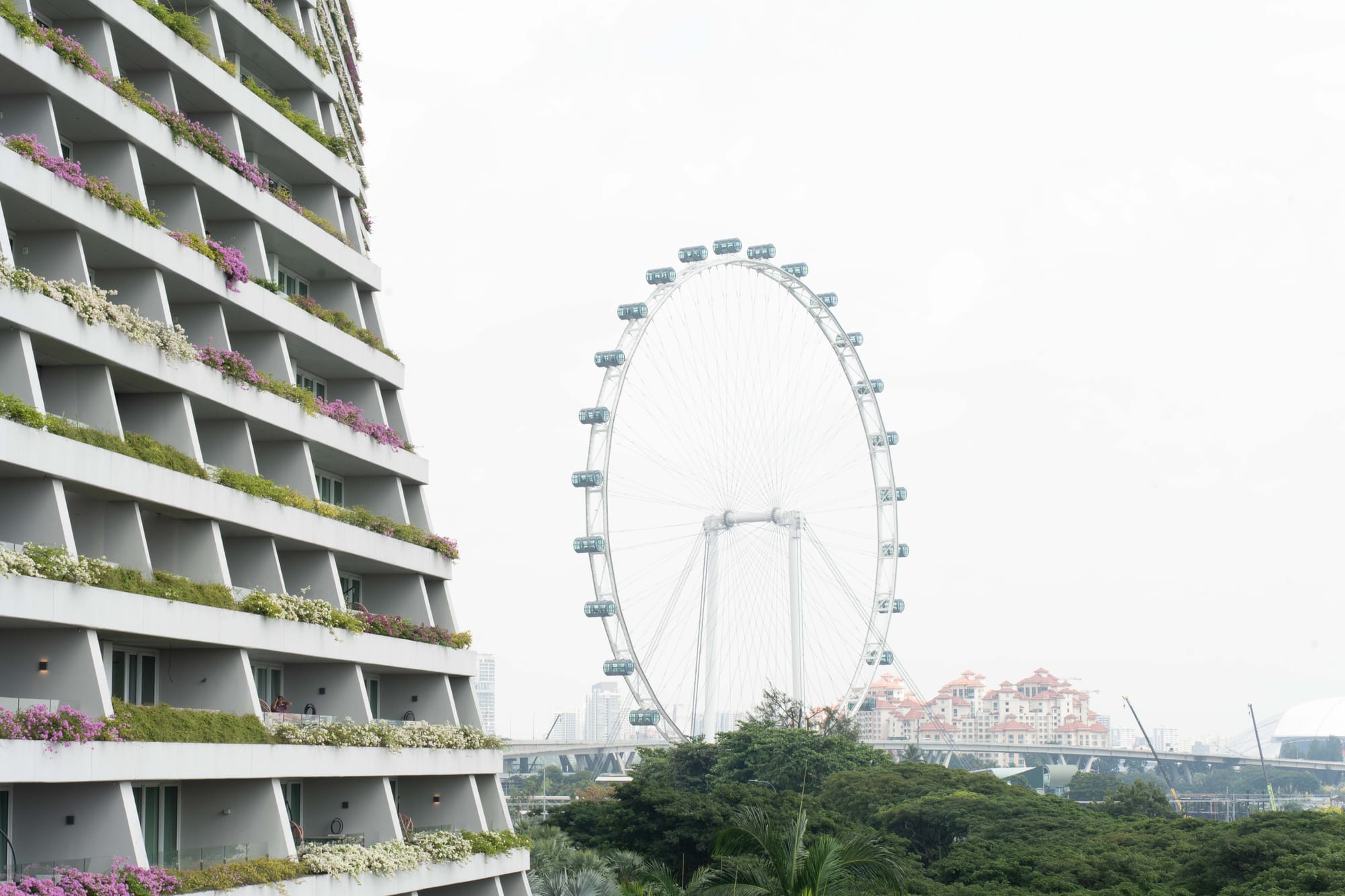 notes from singapura 3