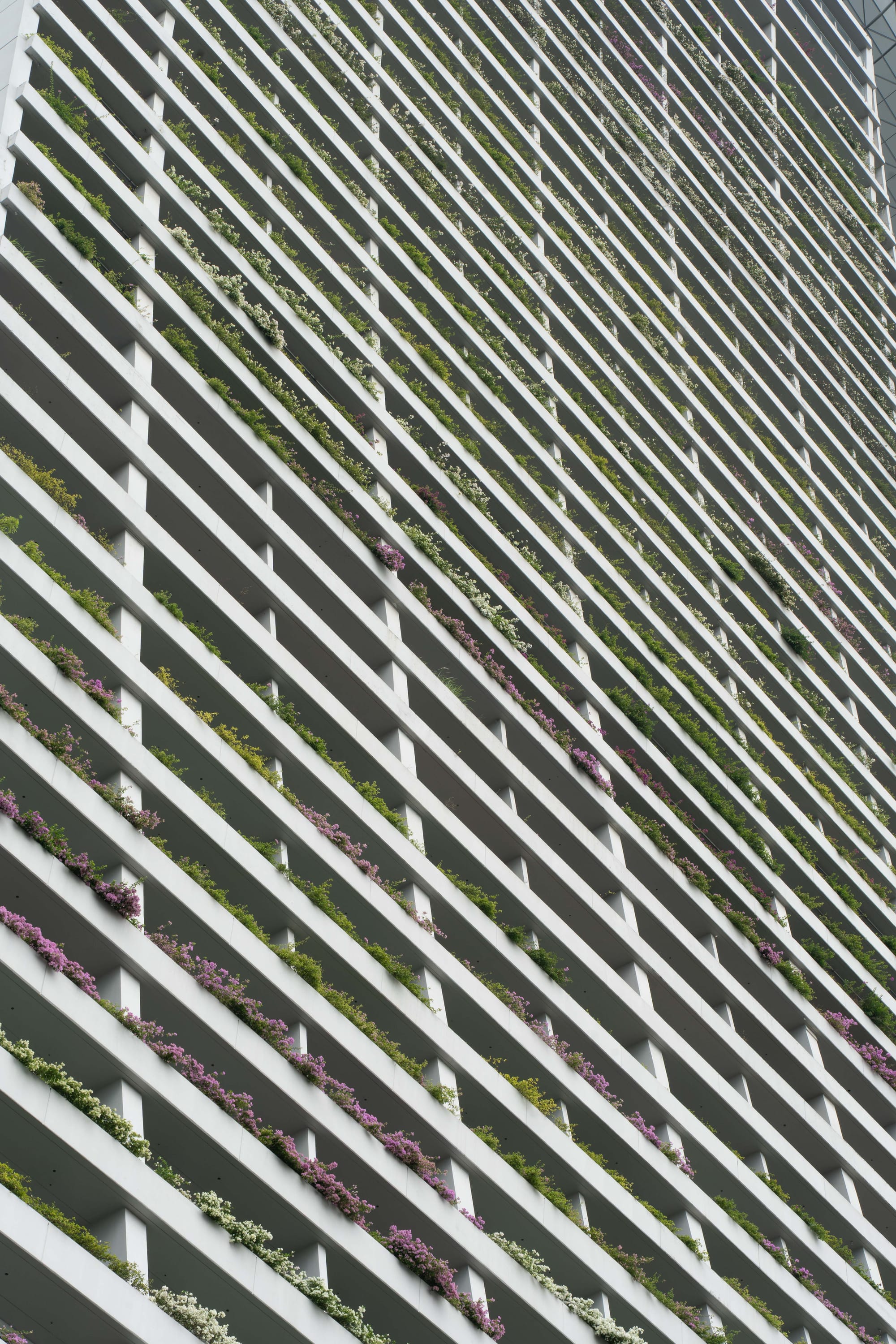 notes from singapura 3