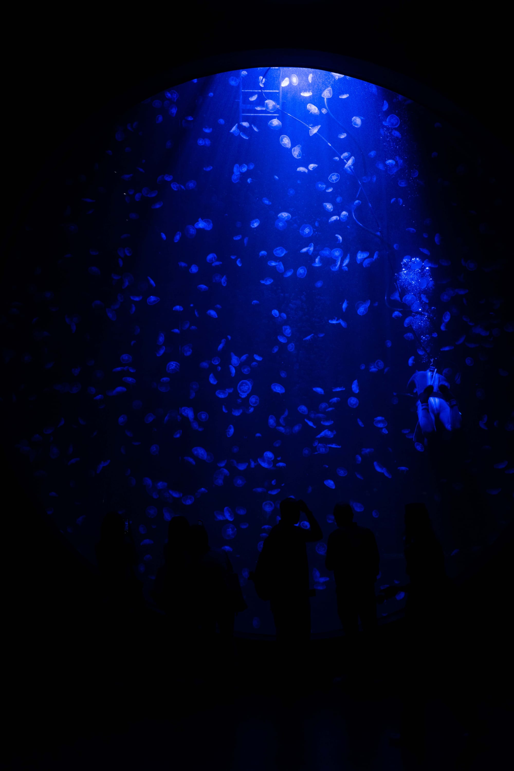 notes from singapura 3