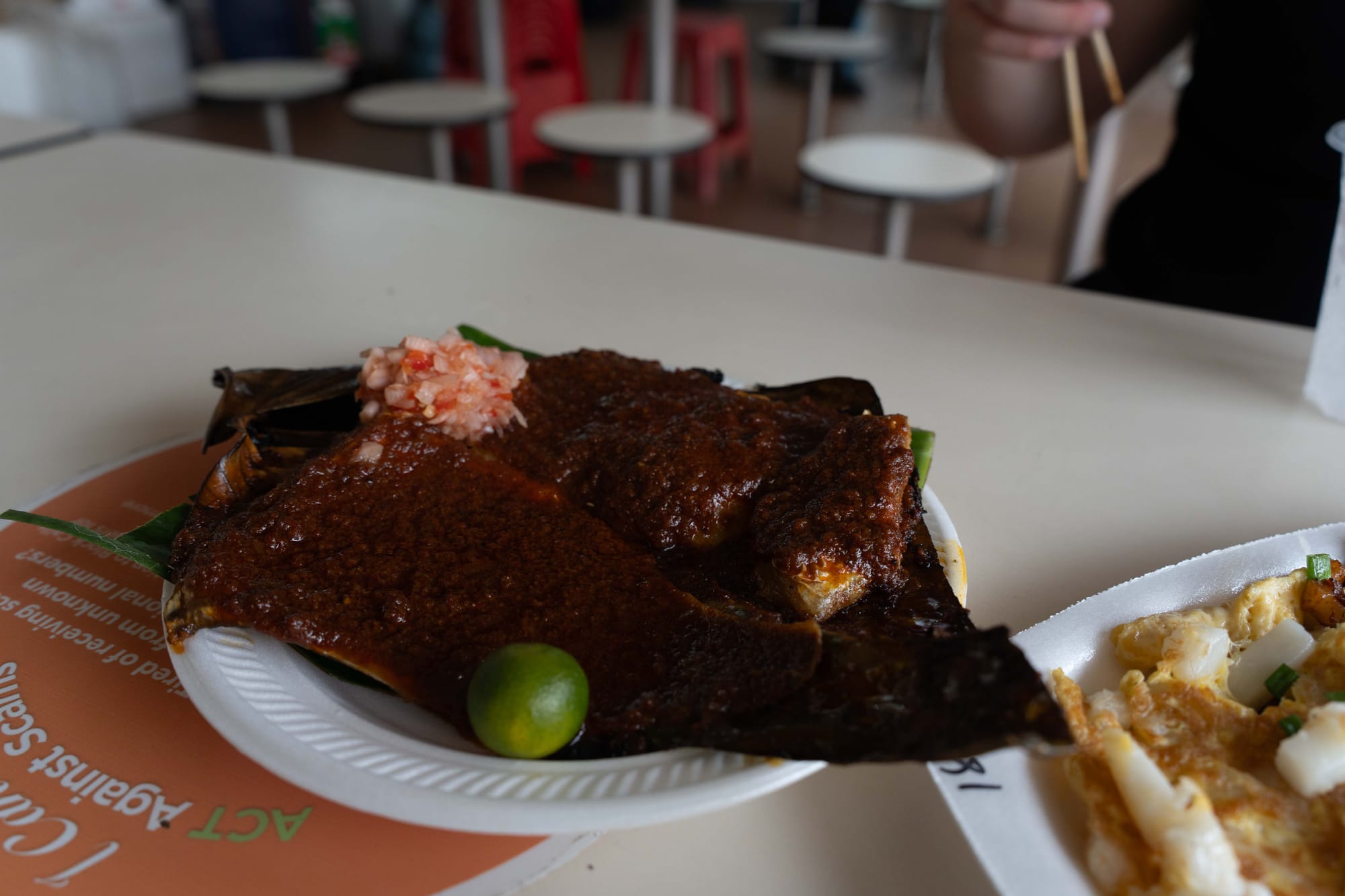 notes from singapura 3