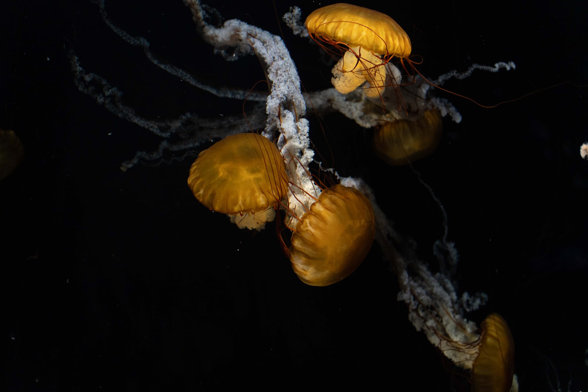 things i think about while powerwashing 150