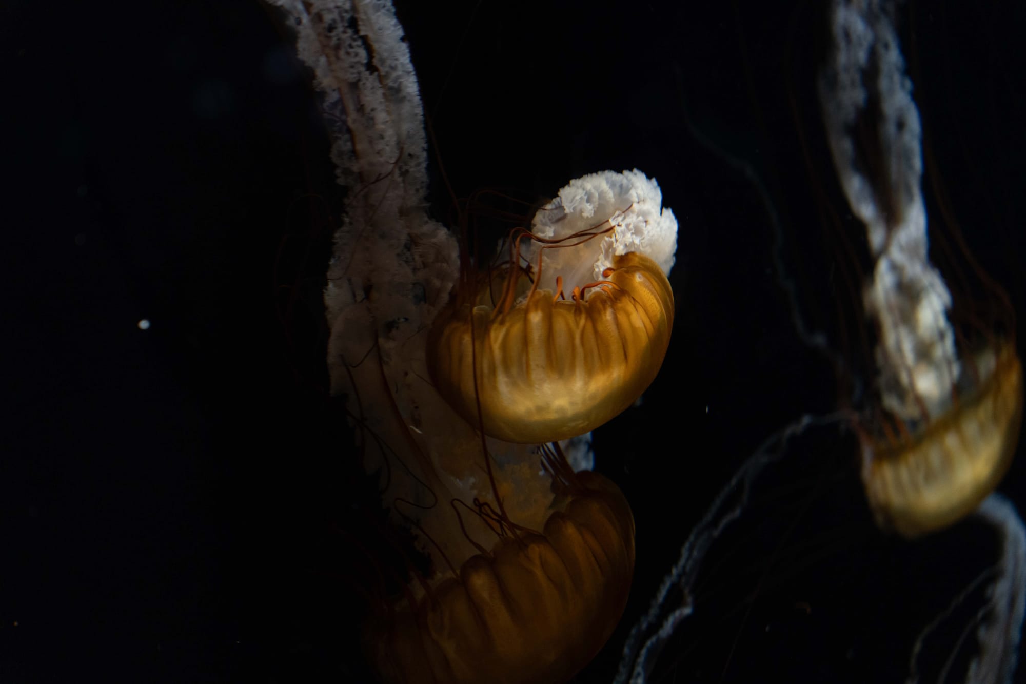 things i think about while powerwashing 150