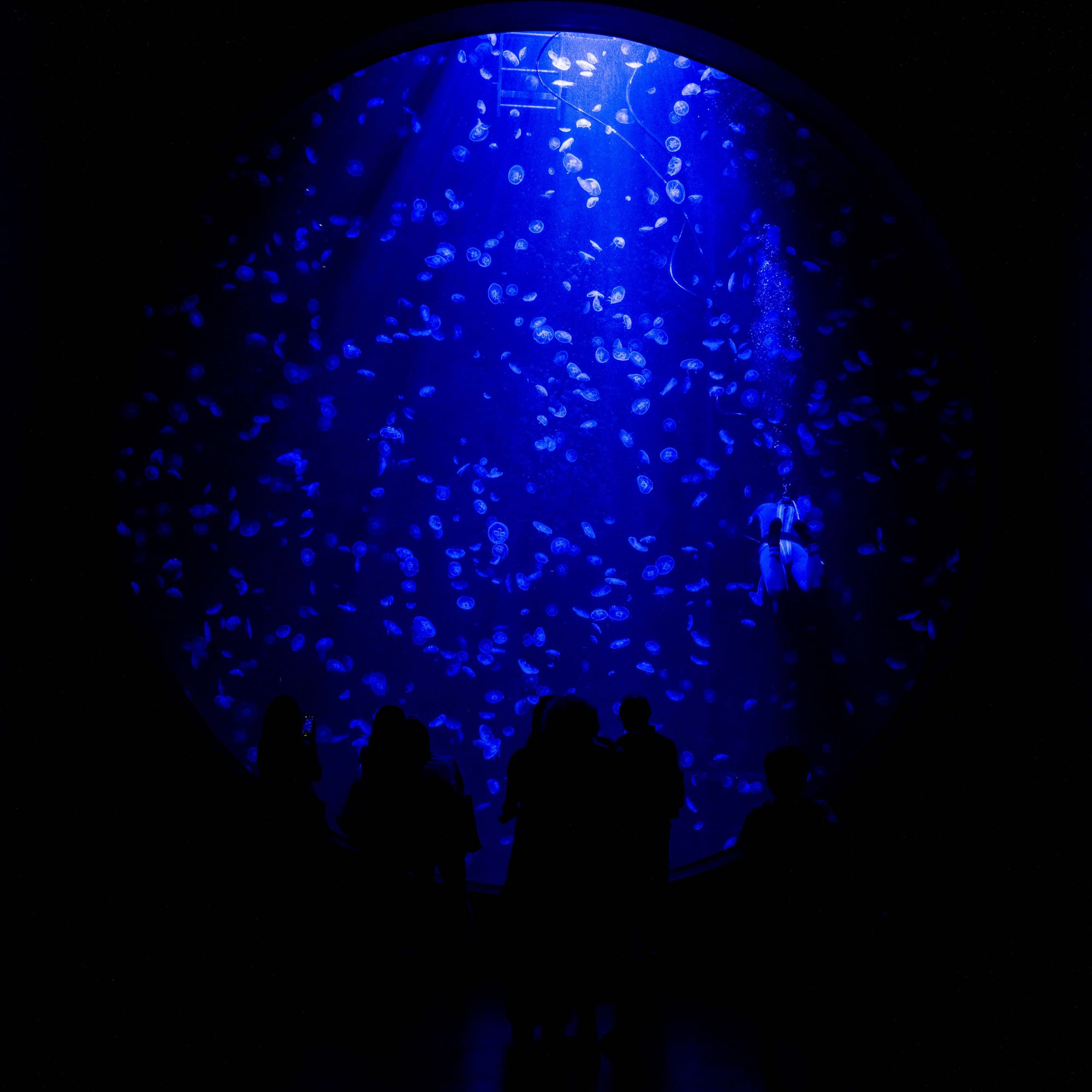 things i think about while powerwashing 150