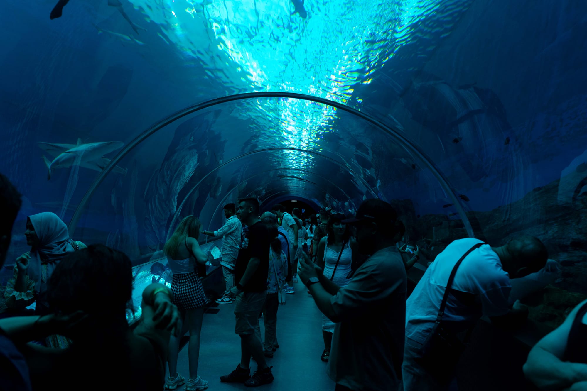 things i think about while powerwashing 150