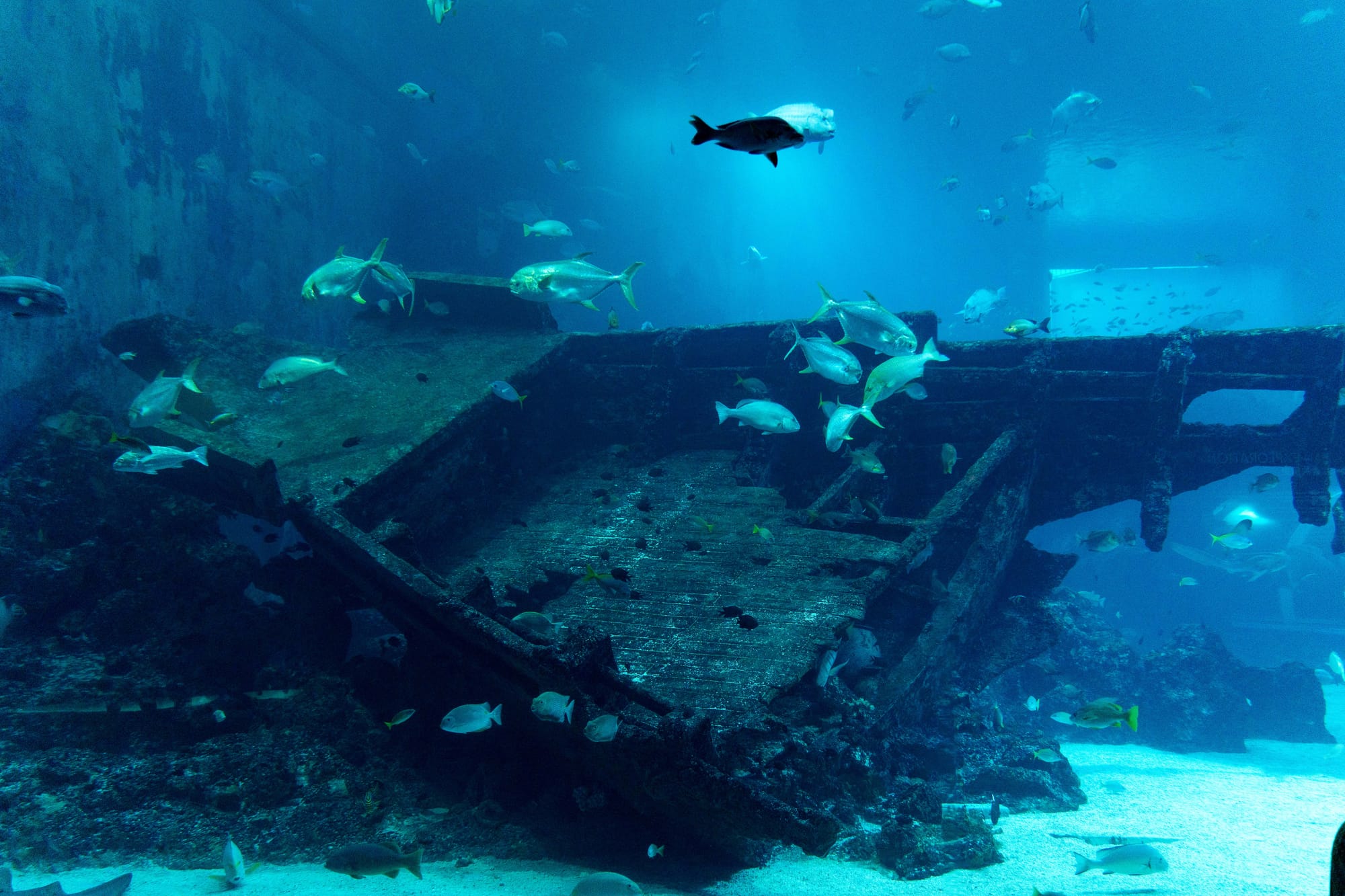 things i think about while powerwashing 150