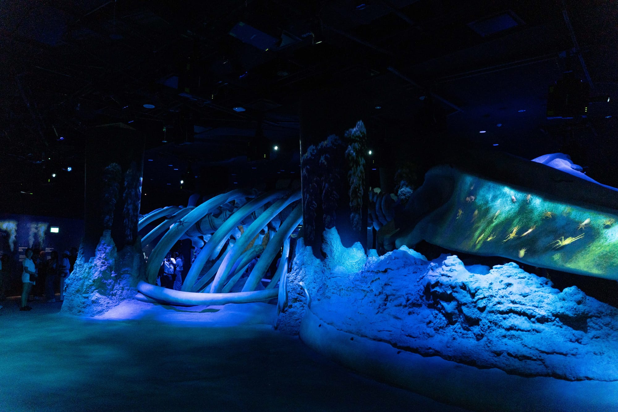 things i think about while powerwashing 150