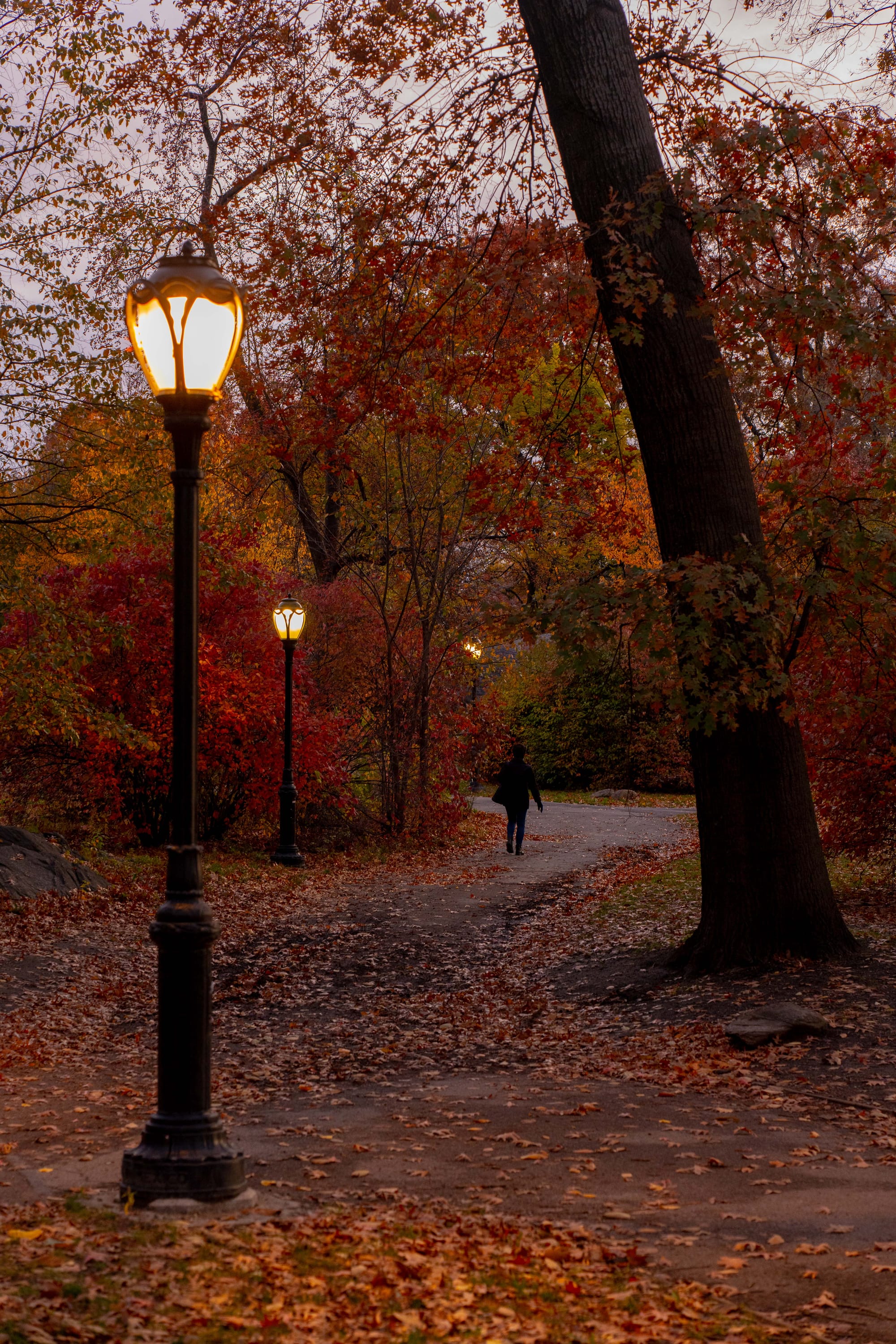 things i think about while powerwashing 150
