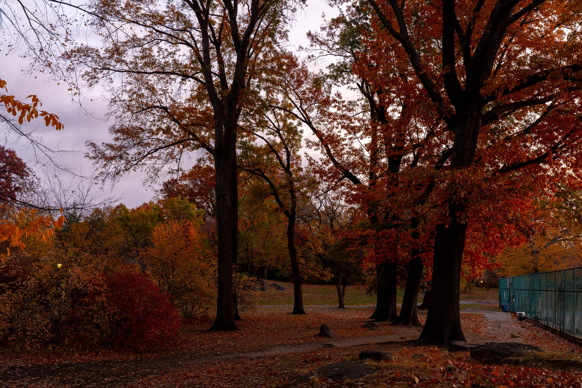 things i think about while powerwashing 150