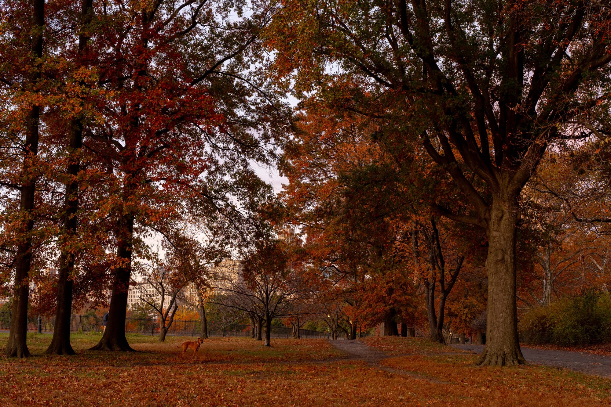 things i think about while powerwashing 150