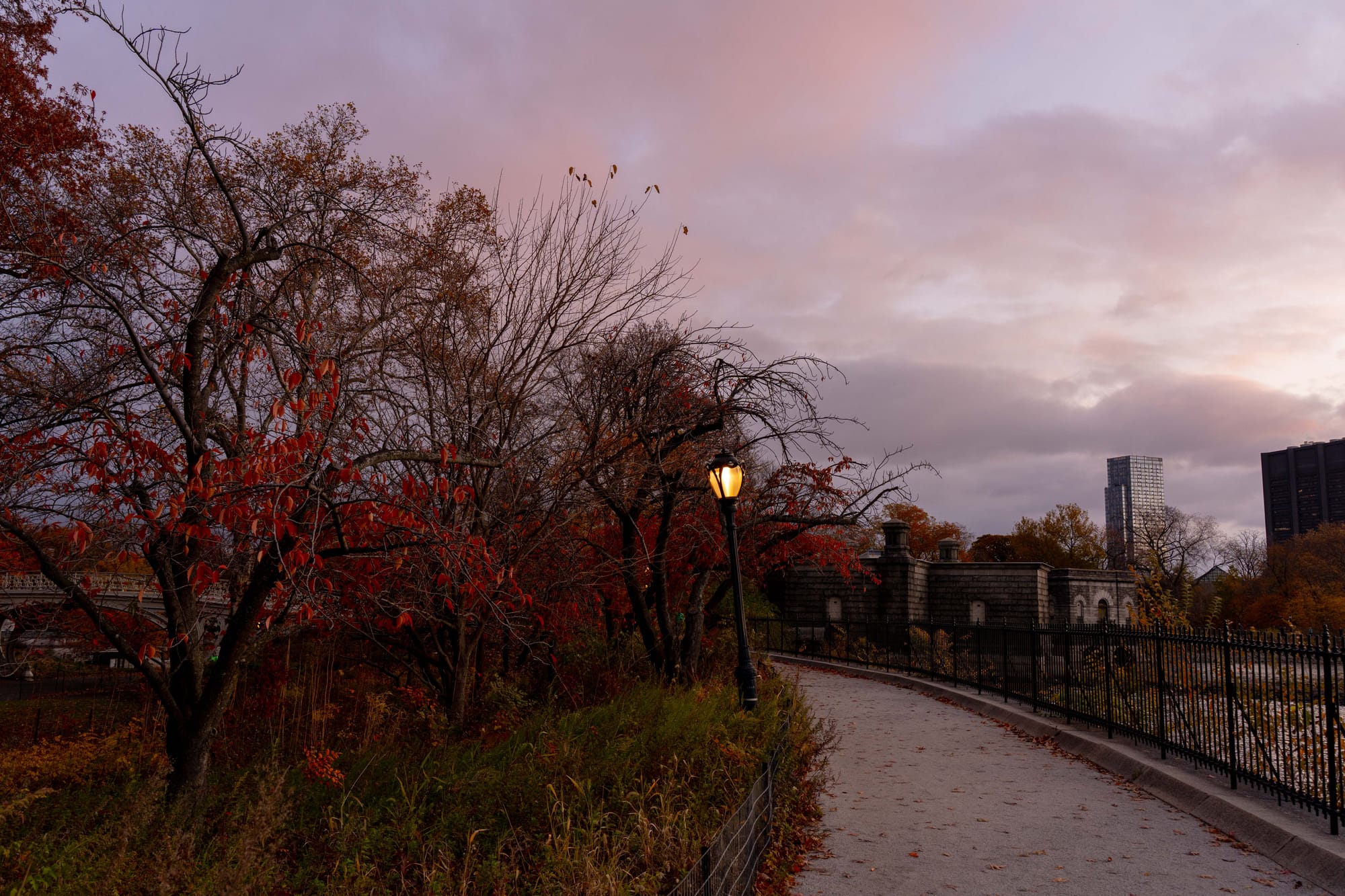 things i think about while powerwashing 150