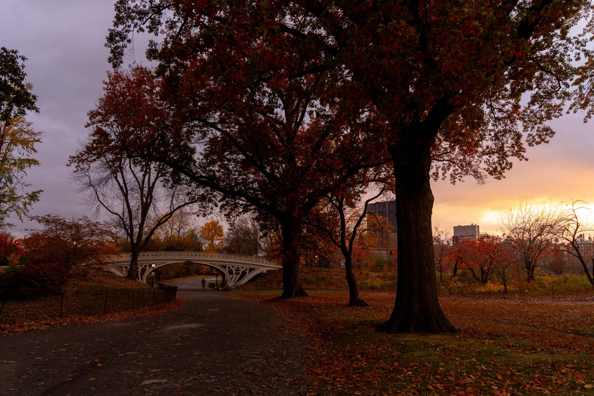 things i think about while powerwashing 150