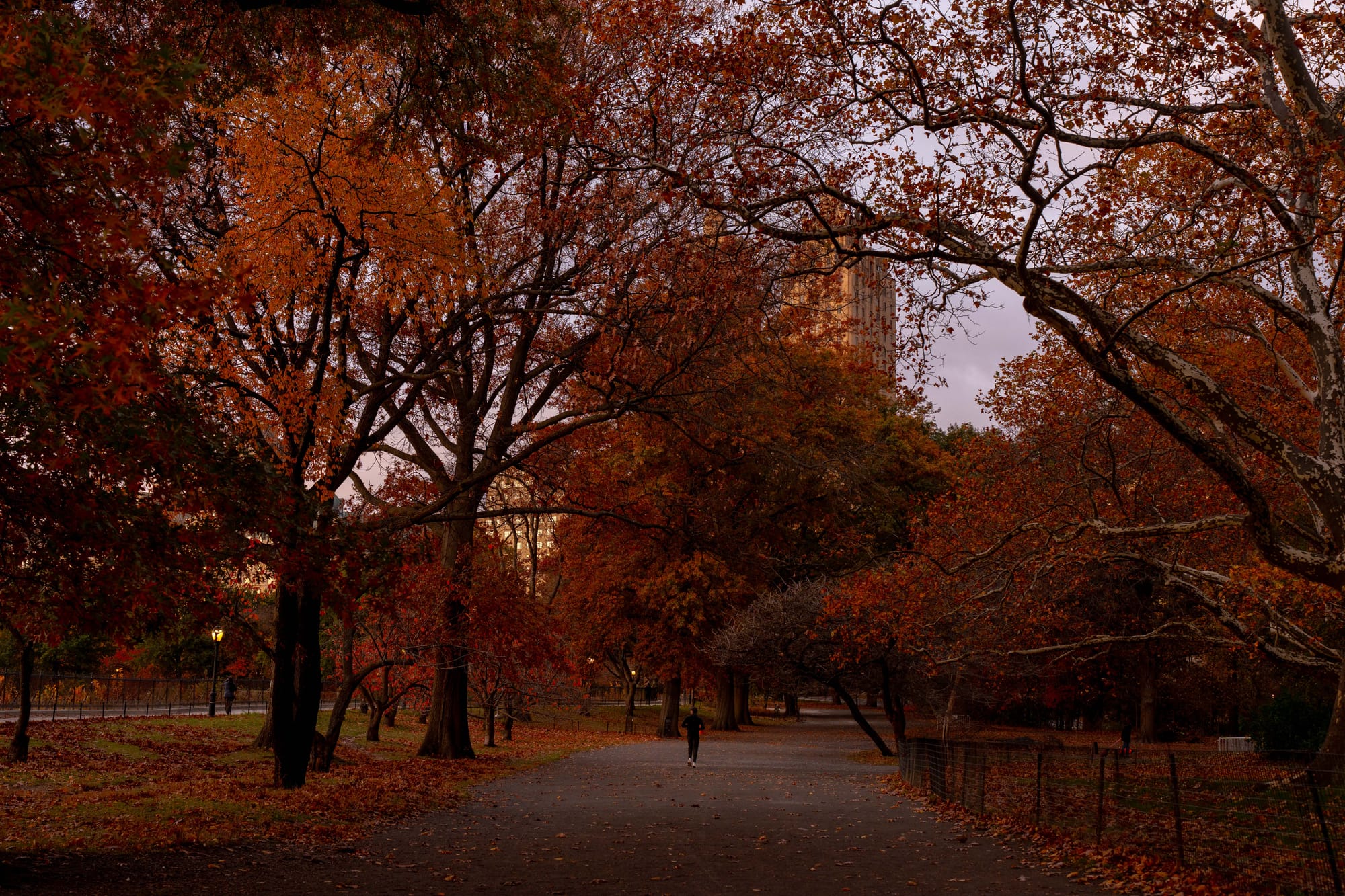 things i think about while powerwashing 150