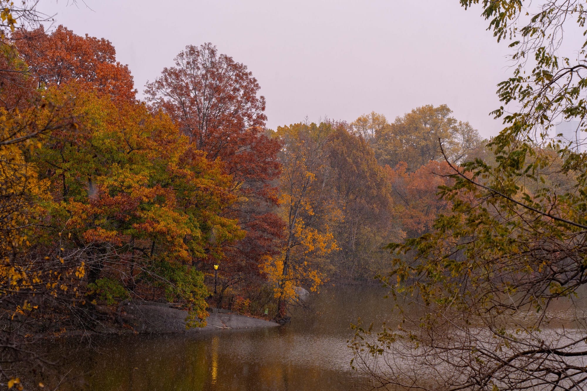 things i think about while powerwashing 150