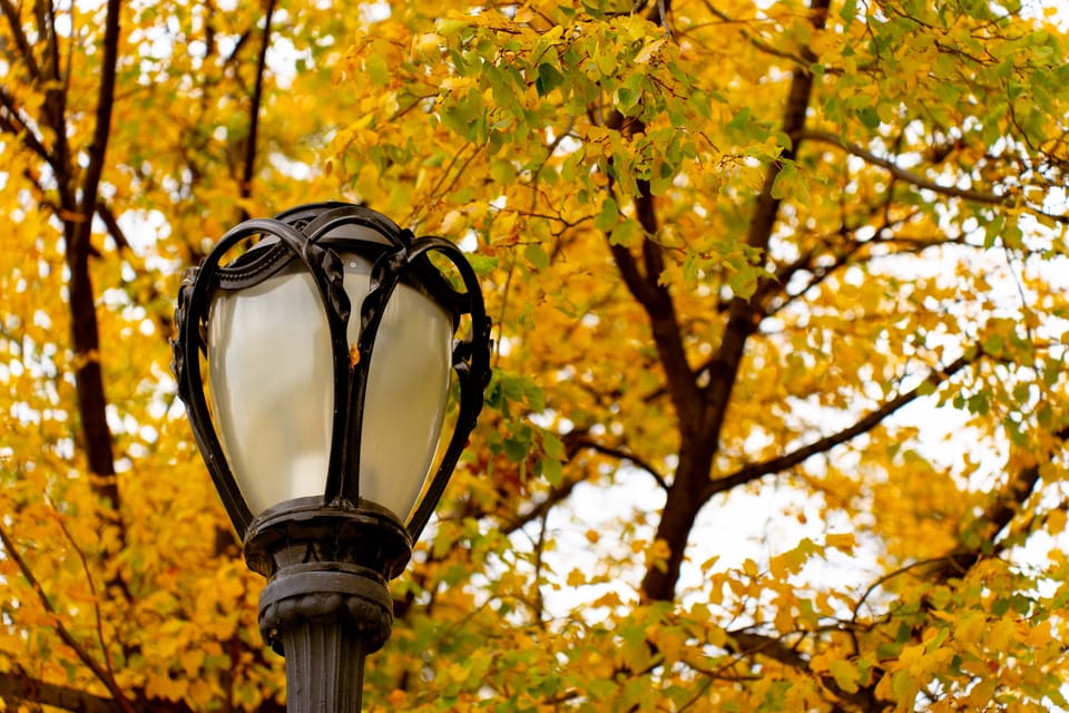 things i think about while powerwashing 145