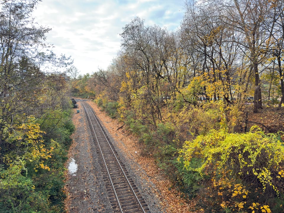 things i think about while powerwashing 149