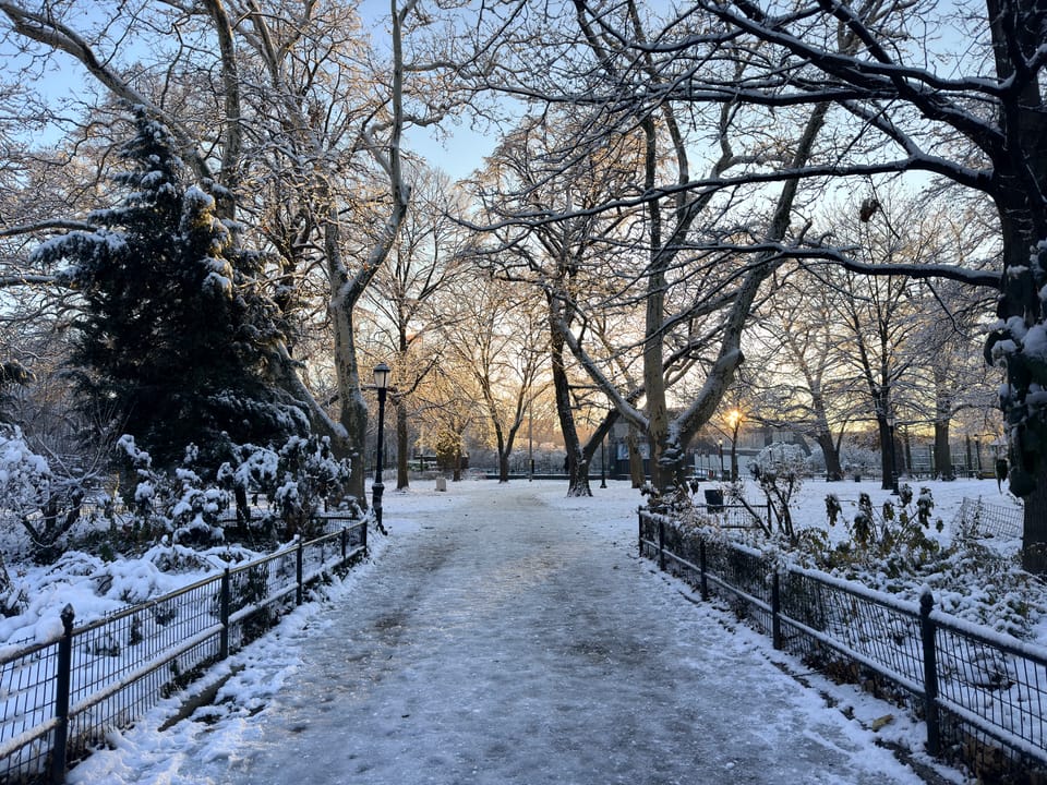 things i think about while powerwashing 152