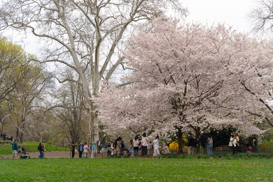 things i think about while powerwashing 167