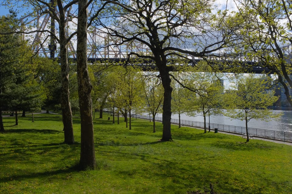 things i think about while powerwashing 170